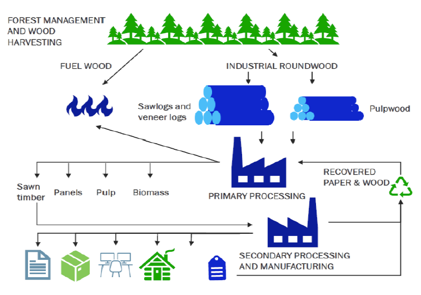 The process of roundwood flow to end use: everything in use